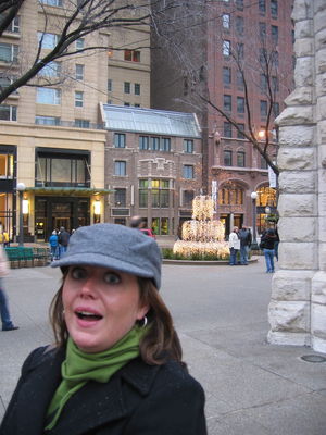 Vic on the Magnificent Mile, Chicago
