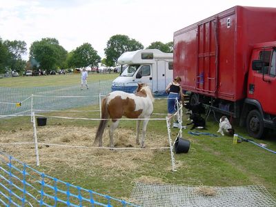 Pony at the Lambeth Coutry Show
