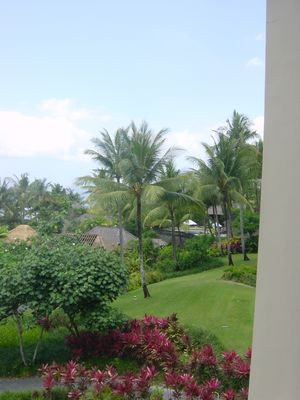 Hotel gardens
