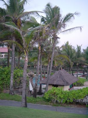 The hotel pool area
