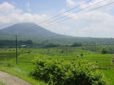 View of Nothern Bali rice terraces and mountains
