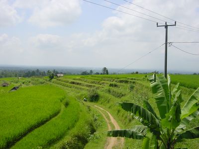View of Nothern Bali rice terraces and mountains
