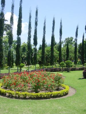 Gardens at Pura Ulun Danu by Lake Bratan
