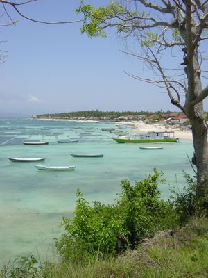 Jungut Batu on Nusa Lembongan
Jungut Batu on Nusa Lembongan is home to lots of budget accomodation. The clear water and sandy beaches make this an ideal alternative to the relative hussle and bussle of Bali. Seaweed farming is one of the primary industries (it's exported for use as a food gelling agent and in cosmetics). The squares of seaweed can clearly be seen under the water.
