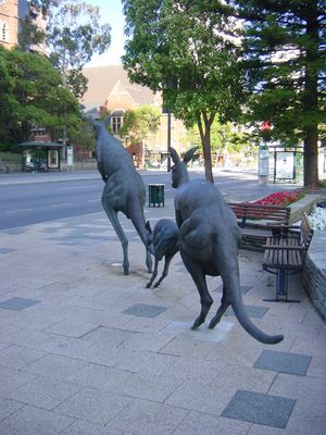 Kangaroo sculpture, Perth
