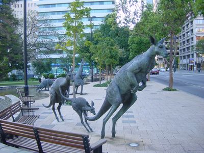 Kangaroo sculpture, Perth

