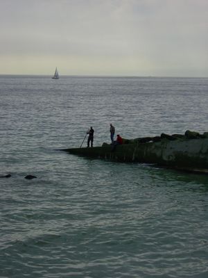 Fishing near Brighton
