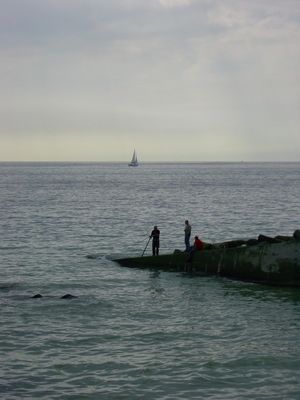 Fishing near Brighton

