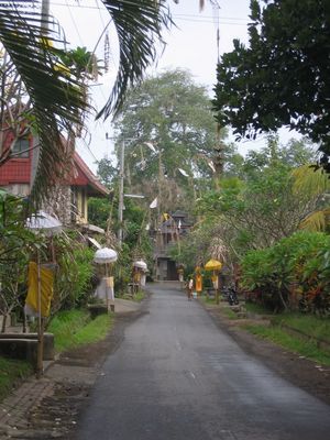 Village street near Ubud, Bali
