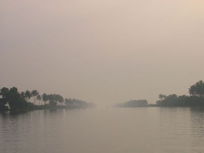 Morning mist on backwaters
