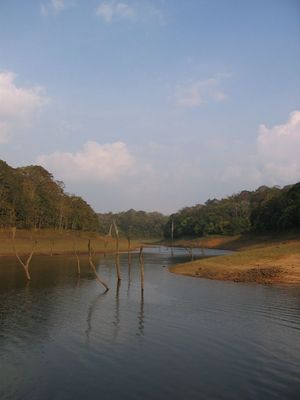 Periyar Lake, Kerala
