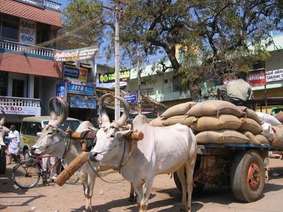 Ox-cart in Tamil Nadu
