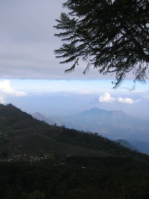 View from Coakers Walk, Kodaikanal

