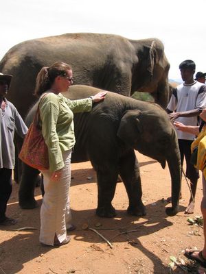 Vic meets the baby of the herd at Pinnawela Elephant Orphanage
