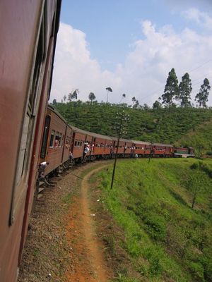 View from the train, travelling from Ella to Colombo
