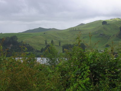Waitako countryside, New Zealand

