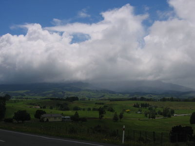Countryside in the Waikato region, New Zealand
