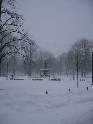 Snow on Boston Common
During the Blizzard of 2006
