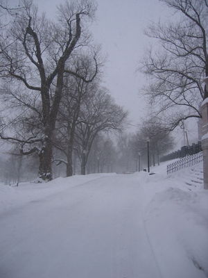 Road through Boston Common during snow storm

