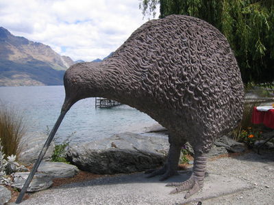 Giant Kiwi, Queenstown
And they say they're tiny!
