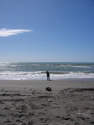 Nigel on the seashore at Hokitka
