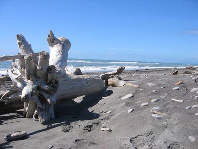 Driftwood on the beach at Hokitika
