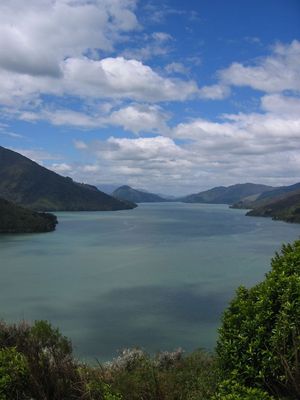Queen Charlotte Sound from the Scenic Route
