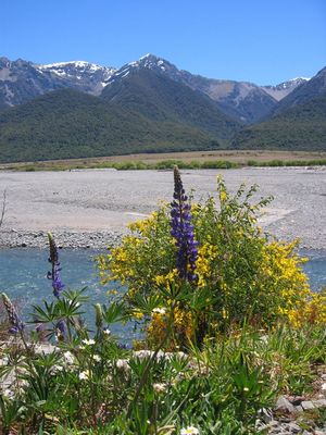 Arthur's Pass
