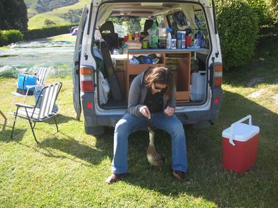 Vic feeds a duck at the campsite in Akaroa