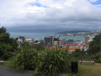 Wellington from the top of the cable-car
