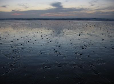 Ninety Mile Beach, New Zealand
