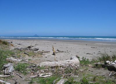Beach on the East Cape
