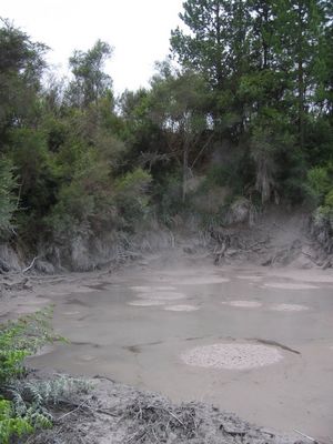 Boiling mud at Waiotapu

