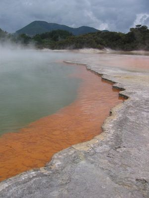 Champagne Pool at Wai-O-Tapu