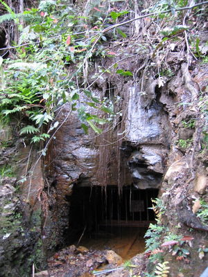 Cave/mine entrance, Blue Mountains
