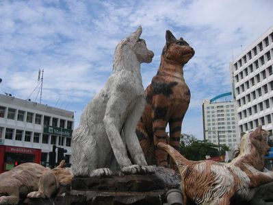 Kuching cats statue
Kuching is the state capital of Sarawak. Kuching means "cat"
